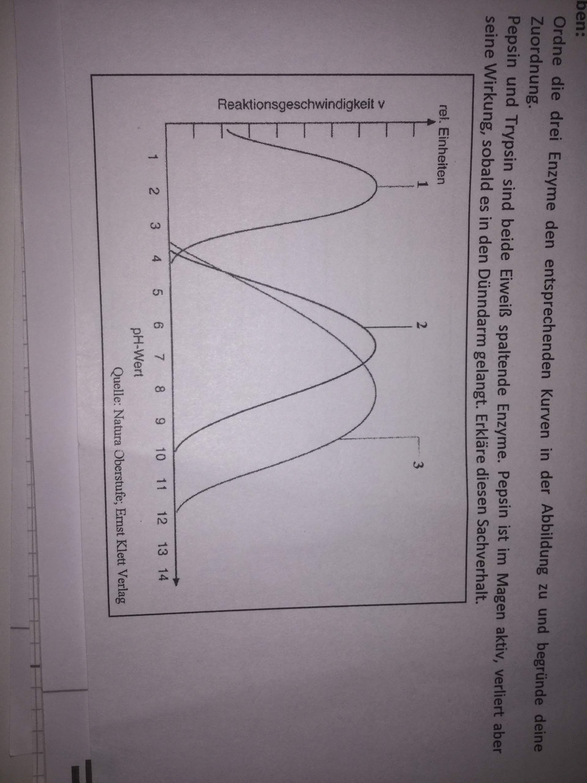 Enzymstrukturdiagramm