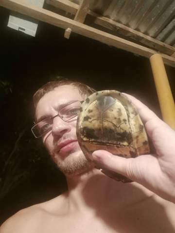 Philippinische Schildkröte?