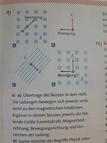 Bild zum Beitrag