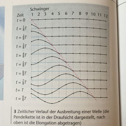 Darstellung der einzelnen Pendel - (Schule, Physik, Wellen)