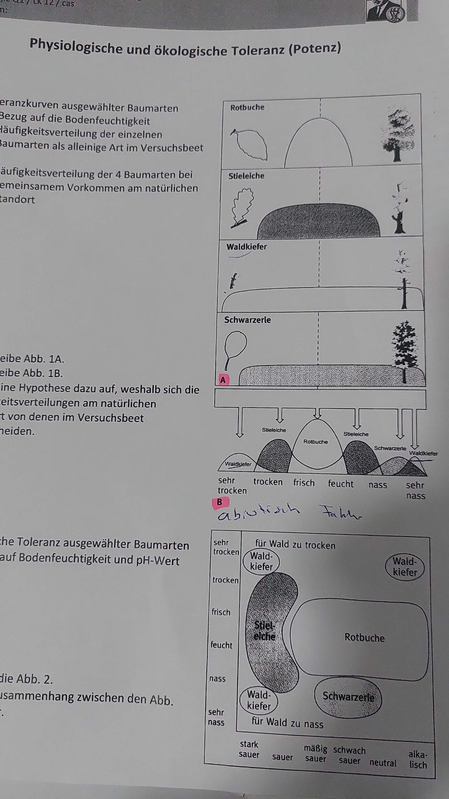 Physiologische und ökologische Toleranz (Potenz)? (Schule, Biologie