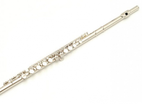 Piccoloflöte und Querflöte? (Instrument, Musikinstrumente, musizieren)