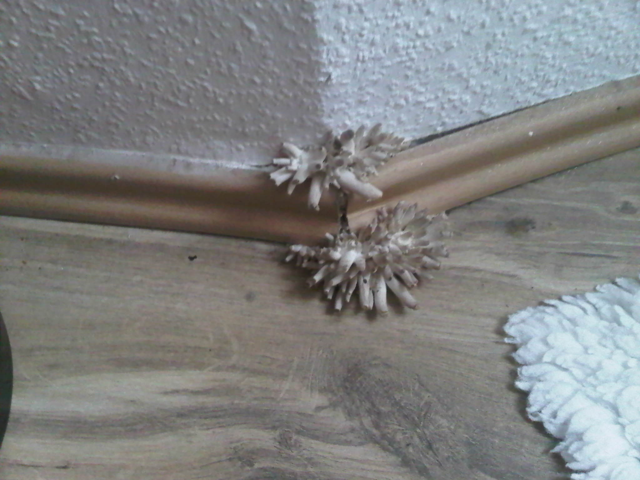 Facebook anonym suchen Facebook anonym suchen