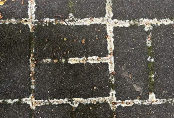 Bild zum Beitrag