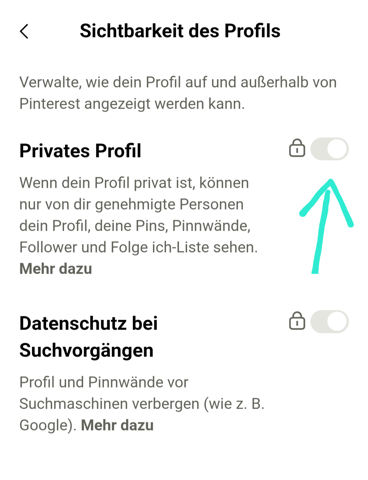 Bild zum Beitrag