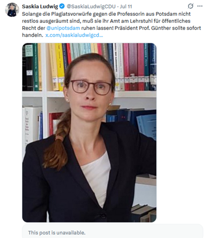 Bild zum Beitrag