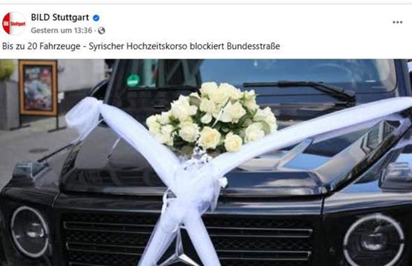 Bild zum Beitrag