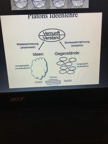 - (Schule, Psychologie, Menschen)