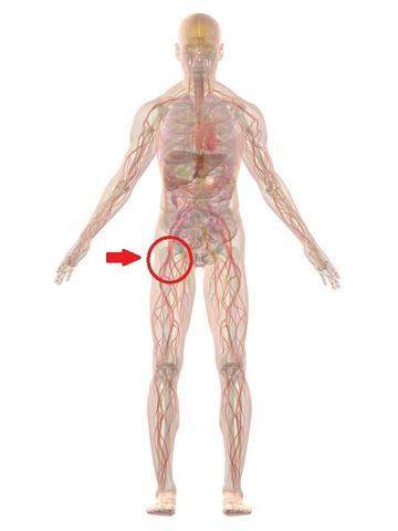 Plotzlich Schmerzen Im Oberschenkel Gesundheit Und Medizin Sport Und Fitness Plotzlich Schmerzen Im Oberschenkel Gesundheit Und Medizin Sport Und Fitness