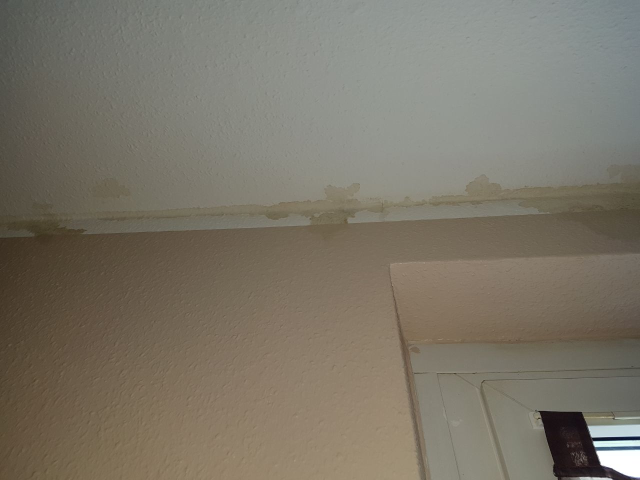 Plötzliche Wasserflecken an der Decke? (Vermieter, Wasserschaden, Fassade)