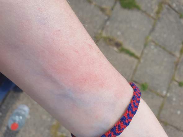Bild zum Beitrag