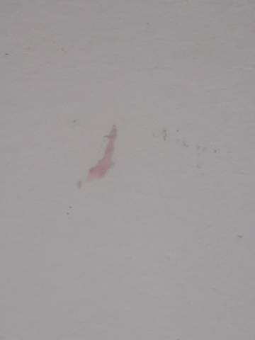 Plötzlicher rosa Fleck an der Decke?