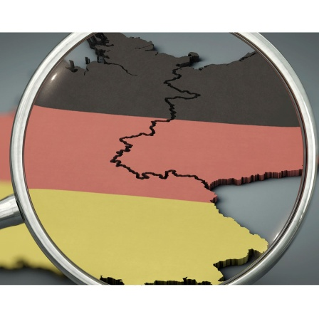 Bild zum Beitrag