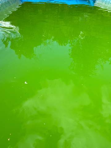  Wie Viel Chlor Kommt In Den Pool Hier Ist Die Genaue Anleitung