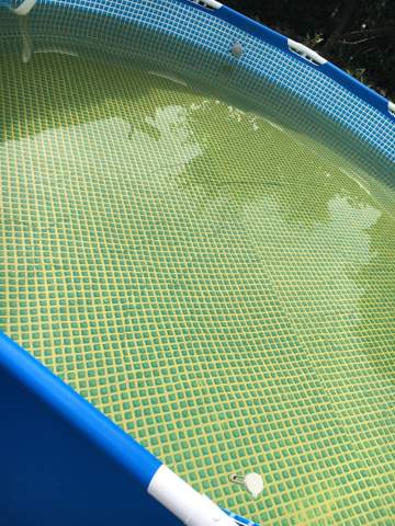 Gefährlich pool wasser grün Schockchlorung bei