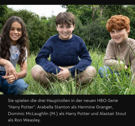 Bild zum Beitrag