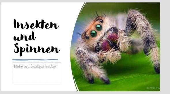 Bild zum Beitrag