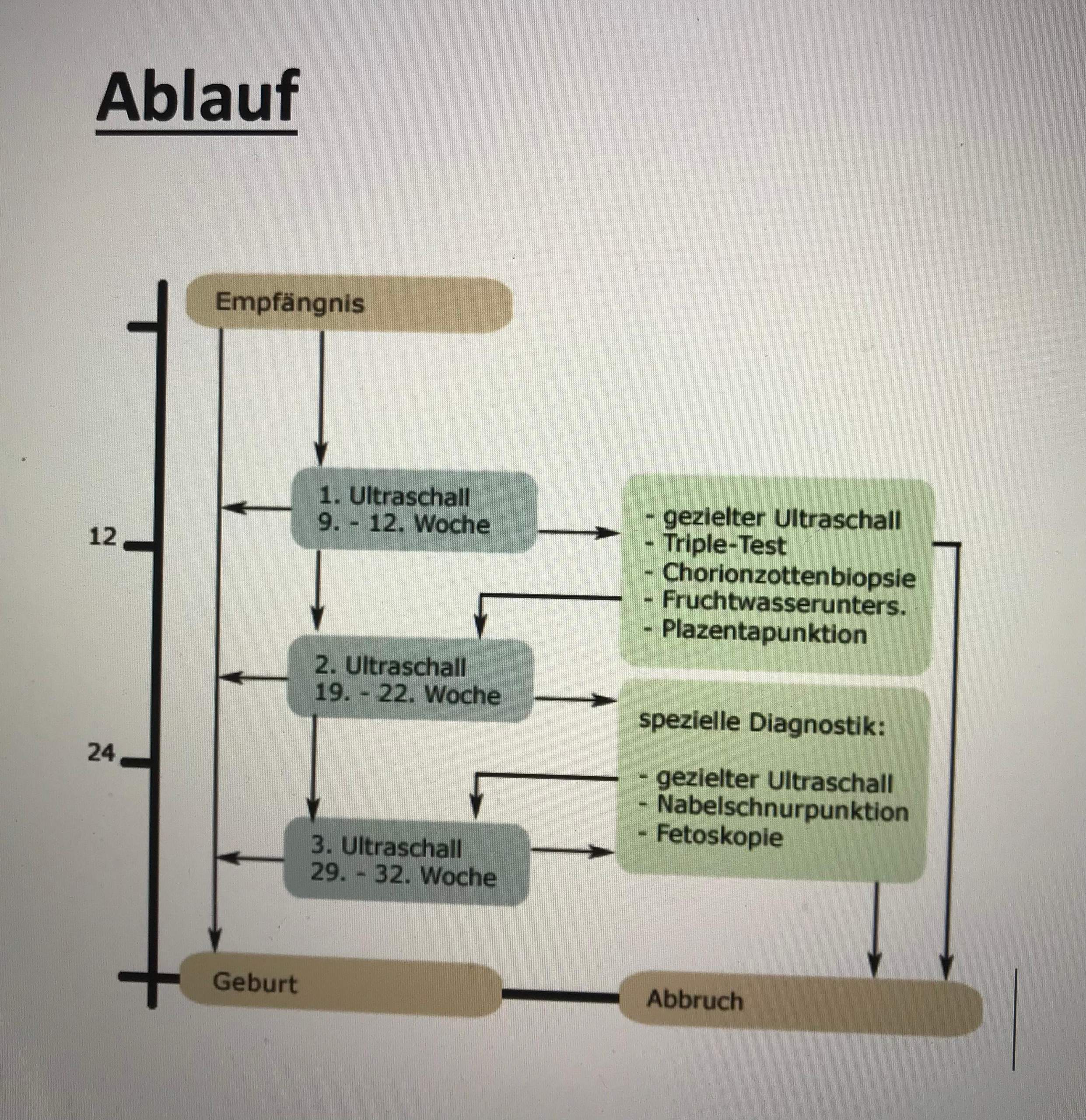 Pränatale Diagnostik Medizin Religion Biologie