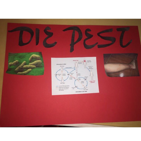 Prasentation Uber Die Pest Plakatideen Schule Gesundheit Medizin