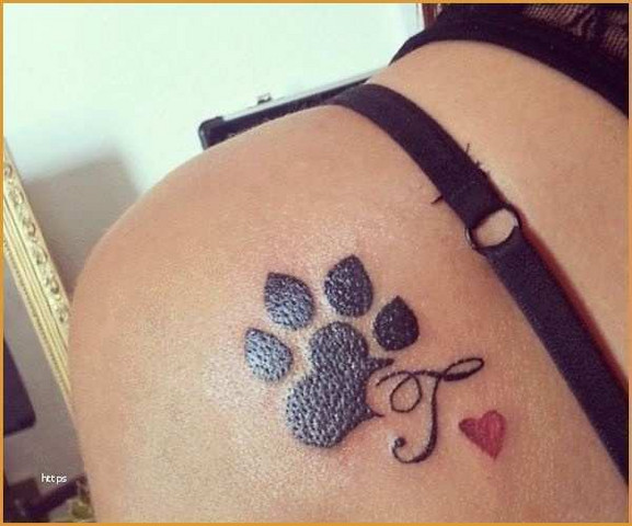 Preis Hundepfote Tattoo Tipps Preis Hundepfote Tattoo Tipps