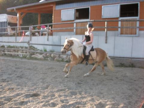 Problem Beim Reiten Fussspitzen Immer Nach Aussen Pferde Dressurreiten