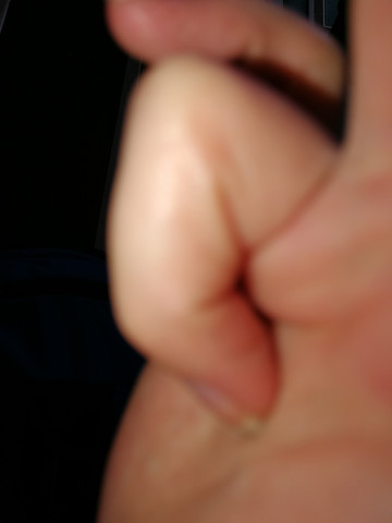 Schnappfinger Die Meistgelesenen Fragen Schnappfinger Die Meistgelesenen Fragen