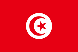 Prognose zum Tunesien - Frankreich WM 2022 Spiel (30.11.2022)?