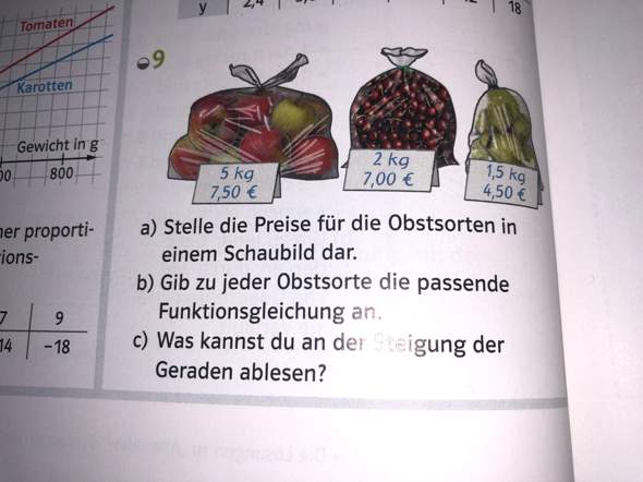 Proportionale Funktionen 8 Klasse Hilfe Computer Mathe