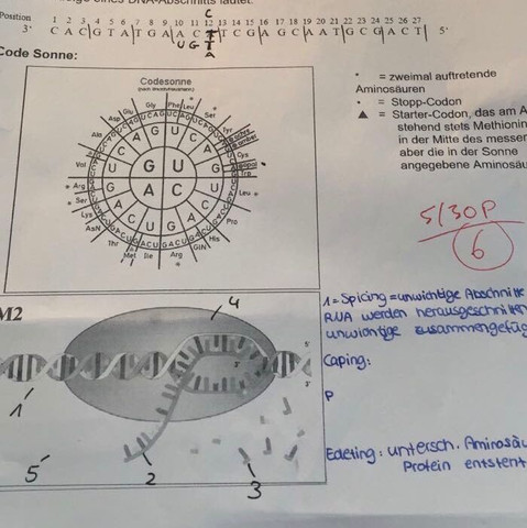 Bios lernen Bios lernen