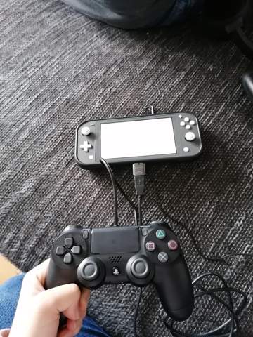 ps4 controller switch lite