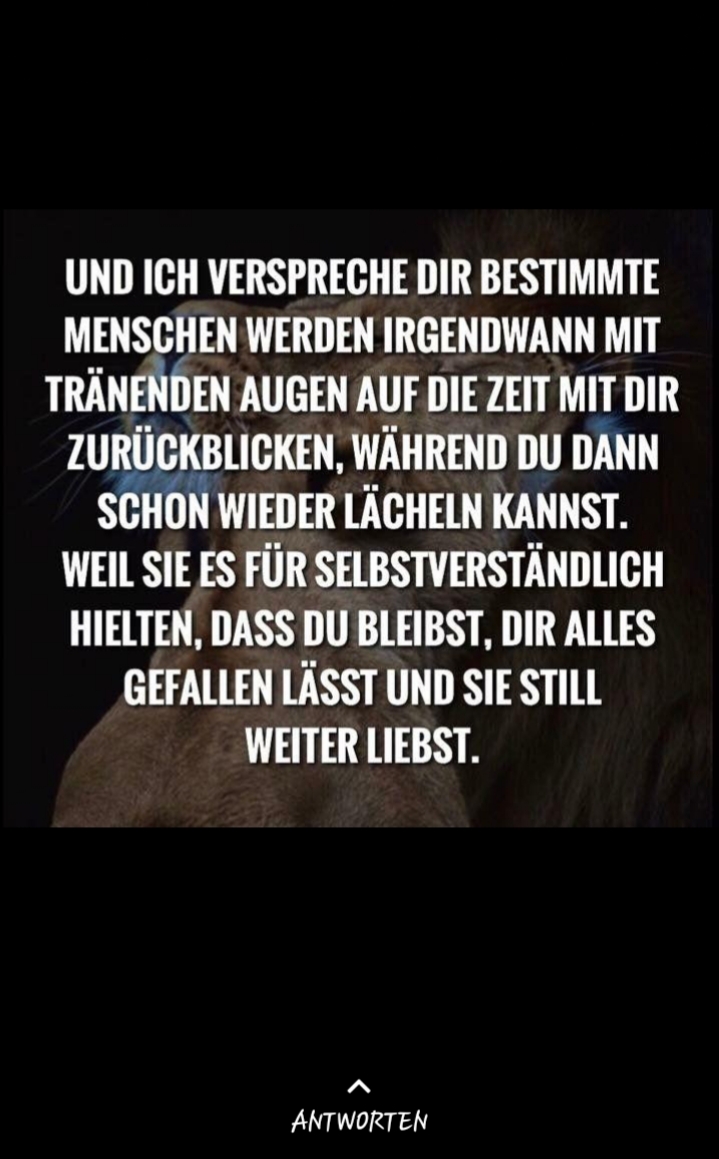 Du Fehlst Mir Bedeutung Mann