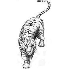 Puma Tattoo Vorlagen Weiss Jemand Wo Es Die Gesuchten Gibt