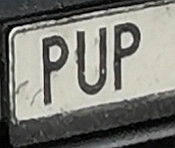 PUP Autokennzeichen?