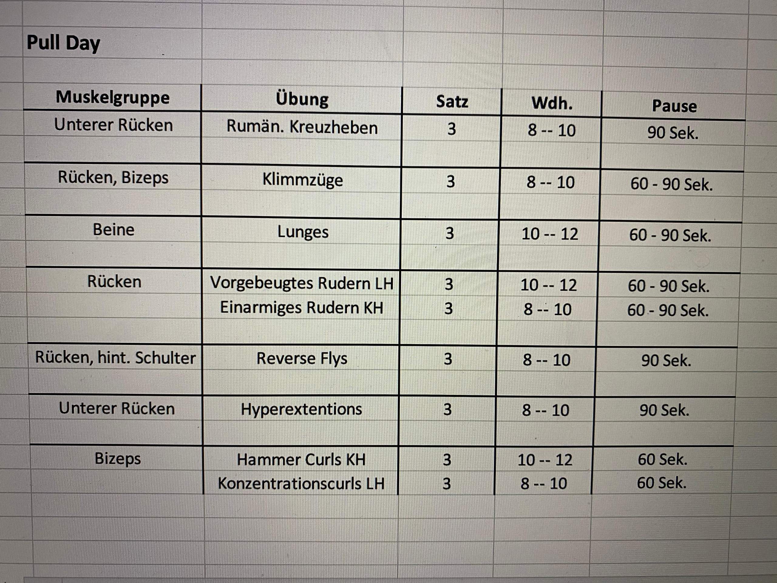 Push Pull Trainingsplan so gut? (Sport, Sport und Fitness, Krafttraining)