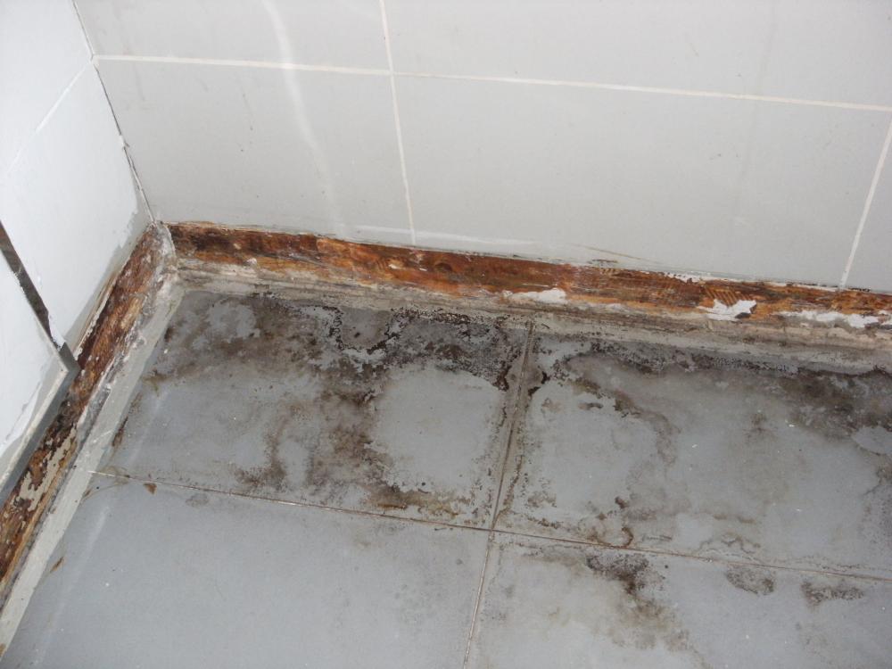 fliesen pvc badezimmer wandfliesen selbstklebend fuers verlegen klick