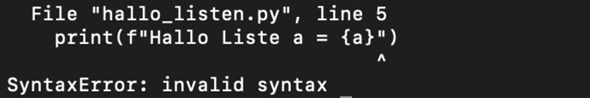 Python Informatik -> invalid Syntax?