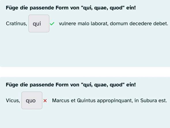 Qui, Quae, quod Latein? (Sprache, Lernen, Grammatik)