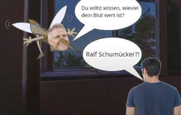 Bild zum Beitrag