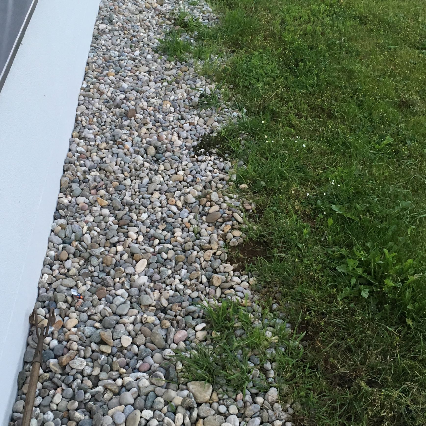 Rasenkante? Wie setzen? (Garten)