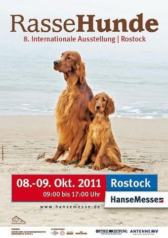 Die IRA Rostock, auf der ich war - (Hund, Rostock, Mecklenburg-Vorpommern)