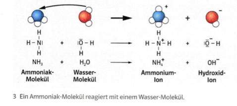 Reaktion Ammoniak mit Wasser?