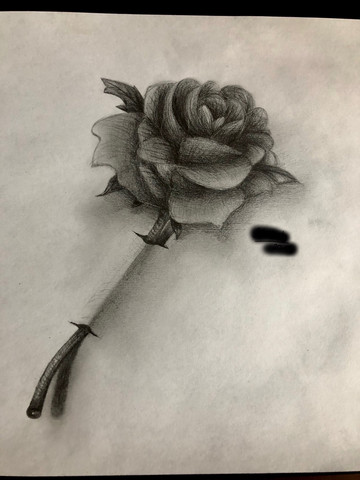 Realistischer Zeichnen Konnen Tipps Kunst Malen