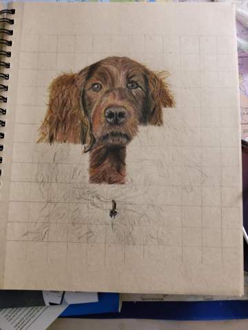 realistisches langes Hundefell zeichnen/ malen?