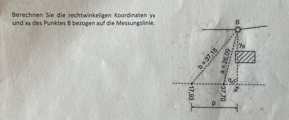 Bild zum Beitrag