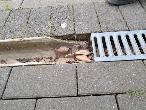 Bild zum Beitrag