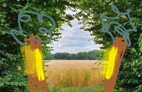 Bild zum Beitrag