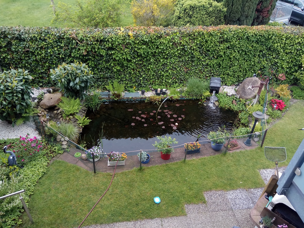 Reiher fernhalten? (Garten, Fische, Teich)