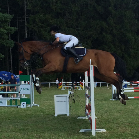 Turnier August 2016:)  - (Freizeit, Pferd, Reiten)