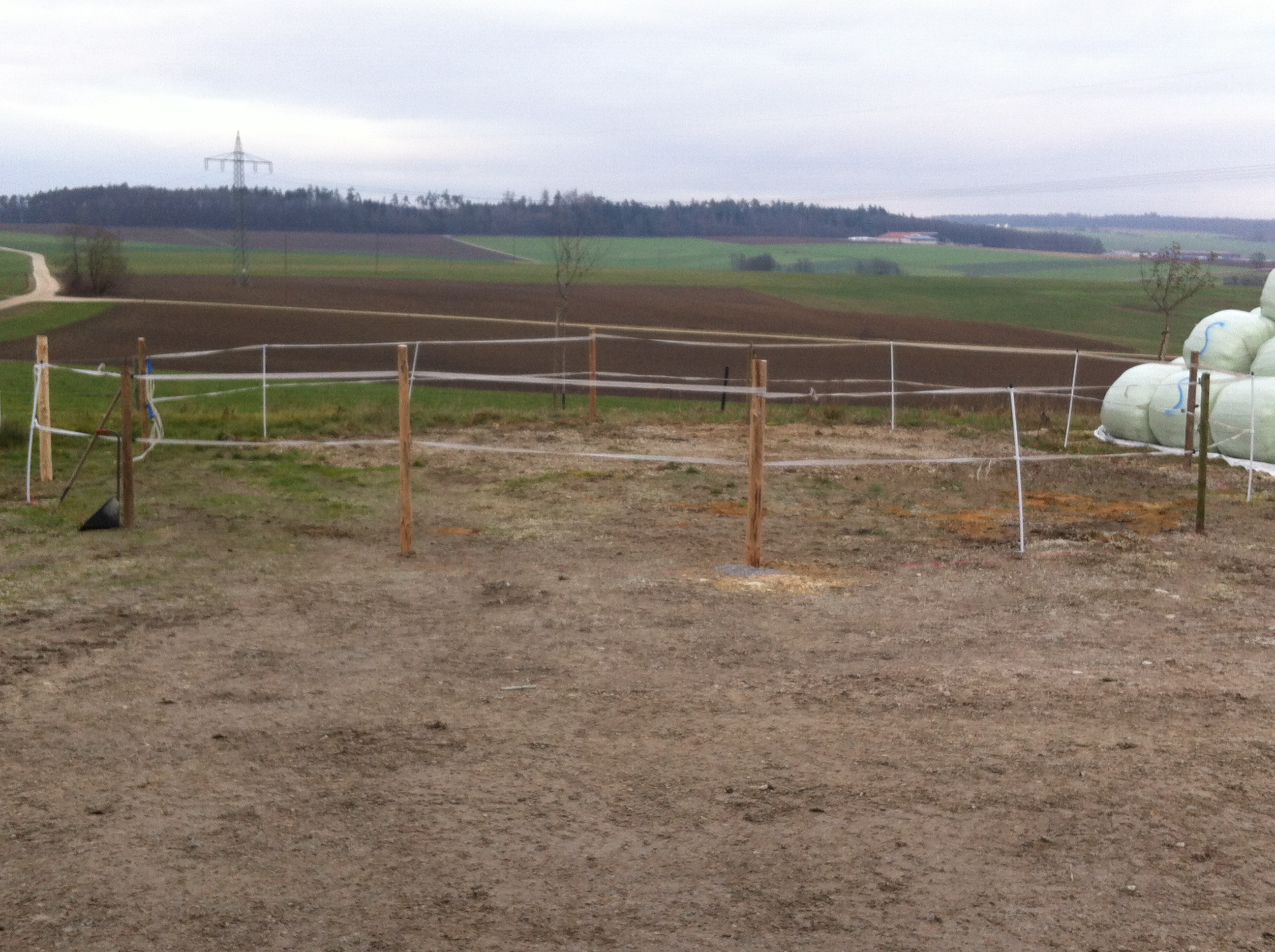 Reitplatz Steht Unter Wasser Was Machen Pferde Reiten