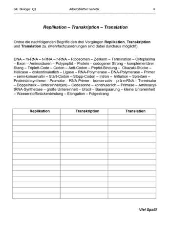 Replikation,Transkription,Translation?